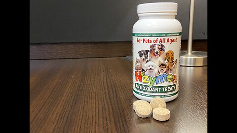 Nzymes Antioxidant Treats for Pets