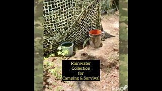 Rainwater Collection for Camping and Survival