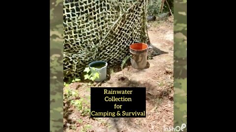 Rainwater Collection for Camping and Survival