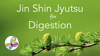 Jin Shin Jyutsu for Digestion