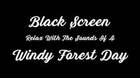 Black Screen Nature Sounds: A Windy Forest Day 1 Hour