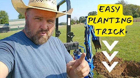 This One Planting Trick | Increase Nutrition For Free #garden #homestead #compost #fruittrees