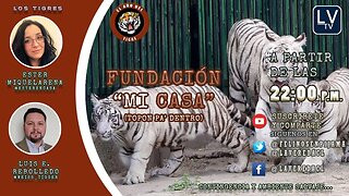 ¡Fundación "Tú Casa"! (¿Topon pa´dentro?) - "El Año del Tigre" T2 Ep. 15 Contingencia Salvaje