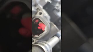 Sport Oil Cooler Valve Video Out Now
