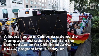 Judge Issues Order Forcing Trump Administration to Keep DACA