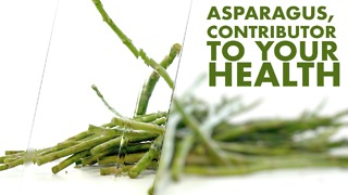 Asparagus, contributor to your health.