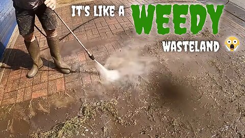 UGLY WEEDS TAKING OVER Elderly Pensioners Driveway. EPIC TRANSFORMATION With A Heartwarming Reaction