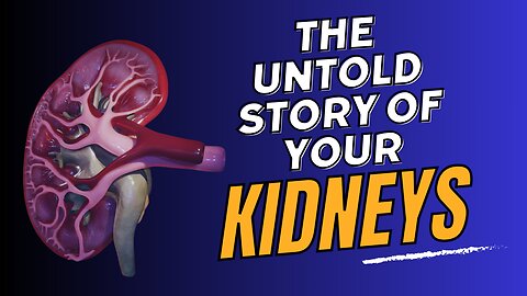 Urine the Clear: A Journey Through Your Kidneys!