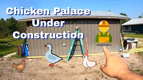 The Plot Chickens | Building the Chicken Queens their own Chicken Palace | Chicks & Eggs Incoming