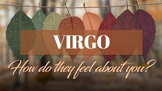Virgo♍ They feel you are not the one for them. The reason: You're dealing with a master manipulator!