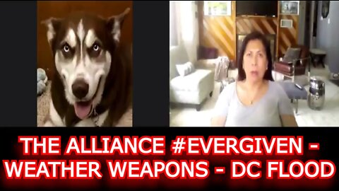 GENE DECODE REUPLOAD: THE ALLIANCE #EVERGIVEN - WEATHER WEAPONS - DC FLOOD