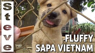 SOFTER SIDE TO SAPA VIETNAM 🇻🇳
