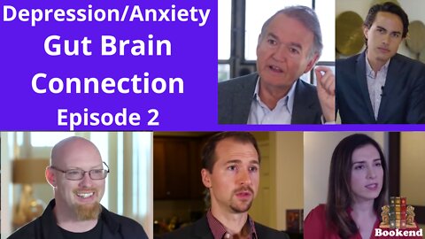 The Gut-Brain Connection: (2/10) How To Heal Your Gut, To Heal Your Brain - Depression/Anxiety