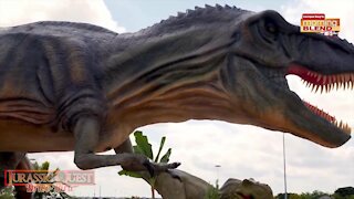 Jurassic Quest coming to Tropicana Field |Morning Blend