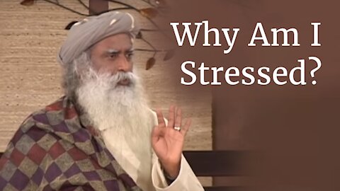 Why Am I Stressed? - Sadhguru on Stress