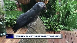Warren family searching for missing pet parrot