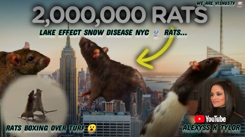 Alexyss K Tylor: Lake Effect Snow Disease NYC 🐀 Rats... "PART:2" #VishusTv 📺