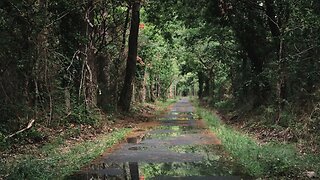 Rain over a beautiful paved forest path in Veélodyssée, France