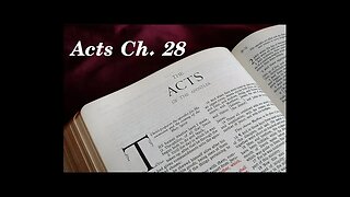 Acts Chapter 28