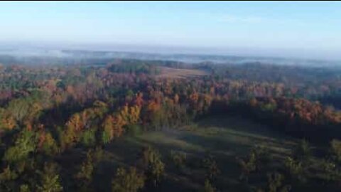 The misty Fall landscapes of South Carolina