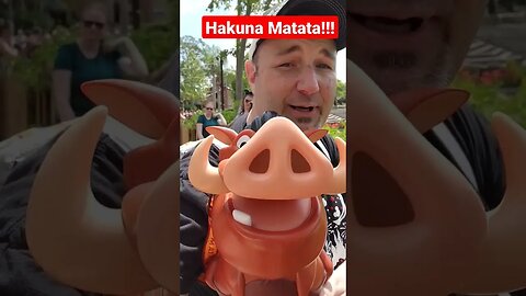 Hakuna Mo'Popcorn! Check Out The Pumba Popcorn Bucket!