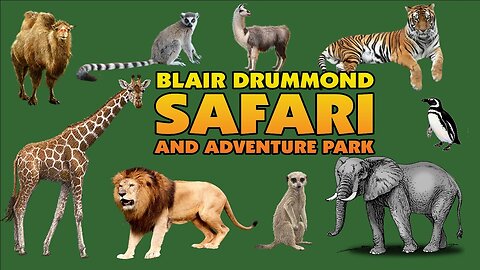 Blair Drummond Safari Park – Day Trip Adventure - Scotland Wildlife Attractions #BlairDrummondSafari