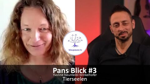 Pans Blick #3 - Tierseelen - Yvonne Neunteibl-Winkelhofer - blaupause.tv