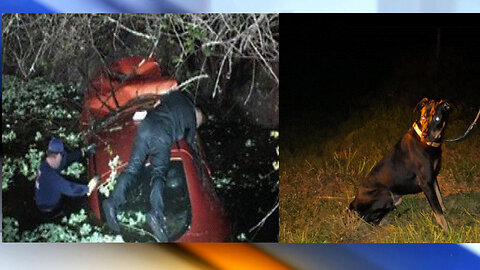 First responders rescue woman, dog from canal