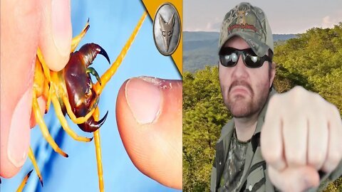 Bitten By A Giant Desert Centipede! (Brave Wilderness) REACTION!!! (BBT)
