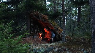 Building a Hidden SURVIVAL SHELTER: Bushcraft in the Nordic Forest