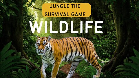 Survival in Jungle