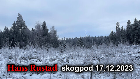 Skogpod 17. desember 2023