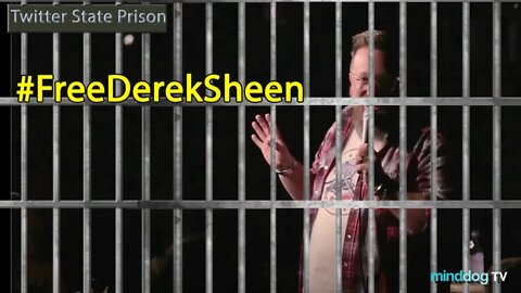 Free Derek Sheen - Comedian - Twitter Needs To Hear From You