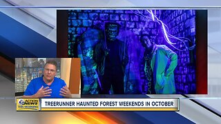 The Haunted Forest returns to TreeRunner Adventure Parks