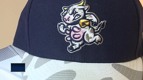 Timber Rattlers get big bucks from Udder Tuggers merchandise