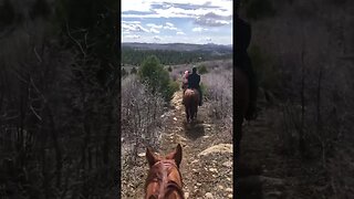 Horseback Riding | Utah Backcountry #shorts #short