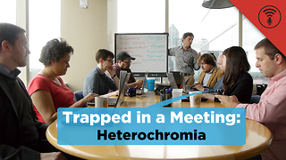 Stuff You Should Know: Trapped in a Meeting: Heterochromia