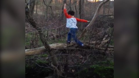 Little Boy Falls Out Of A Tree And Into The Water