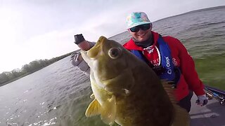 FATTEST Smallmouth I've EVER Seen!