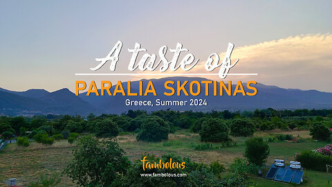 A taste of Paralia Skotinas, Greece 2024
