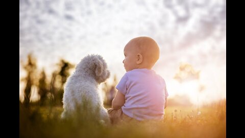 Funniest Baby Playing With Dog - Funny Baby And Pet