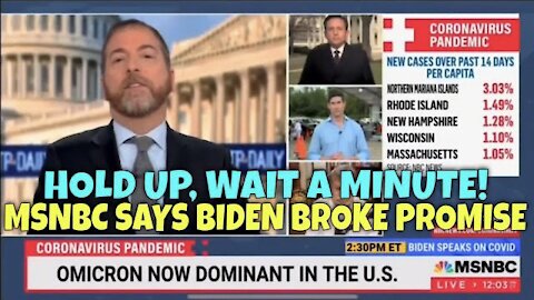 MSNBC, Who Are You? Liberal Host Admits Biden has Broken his Promise on Covid Testing Kits