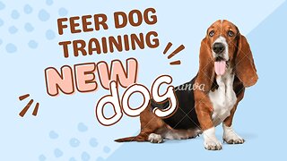 How to traning a dogs | Dog training videos | How to train a Dog |