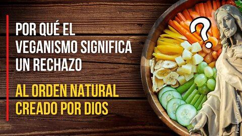 Por qué el Veganismo significa un Rechazo al Orden Natural creado por Dios