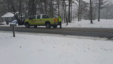 tree down march 24 maine .