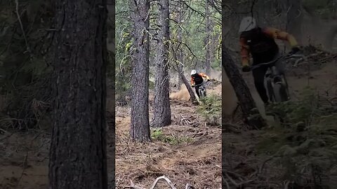 S-Turns and Rock Rolls! Carving Brown Powder #ytshorts #mtb