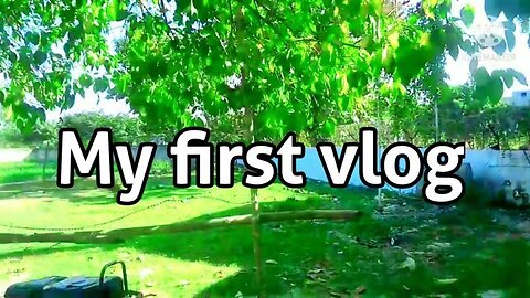 My first vlogs