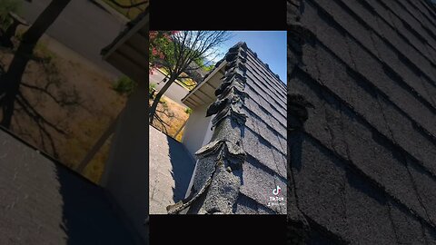 “SHINGLES ARE MELTING” #roofer #roofing #shorts #contractor #contruction #explore #roofingcontractor