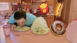 EATING COMPETITION AGAINST MY DOG!