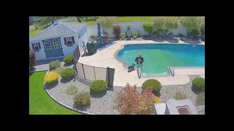 Man jumps into pool to rescue his dog